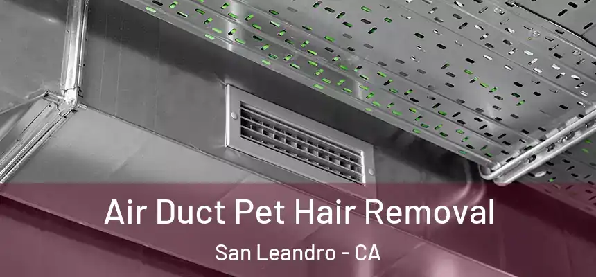 Air Duct Pet Hair Removal San Leandro - CA