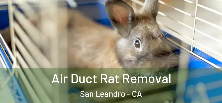 Air Duct Rat Removal San Leandro - CA