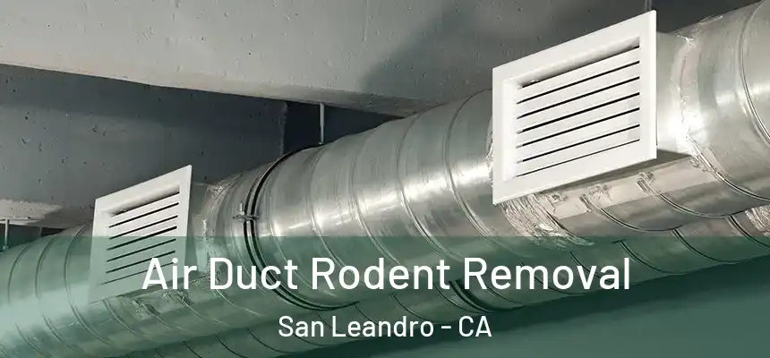 Air Duct Rodent Removal San Leandro - CA