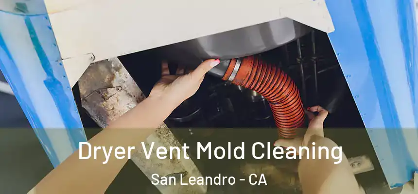 Dryer Vent Mold Cleaning San Leandro - CA