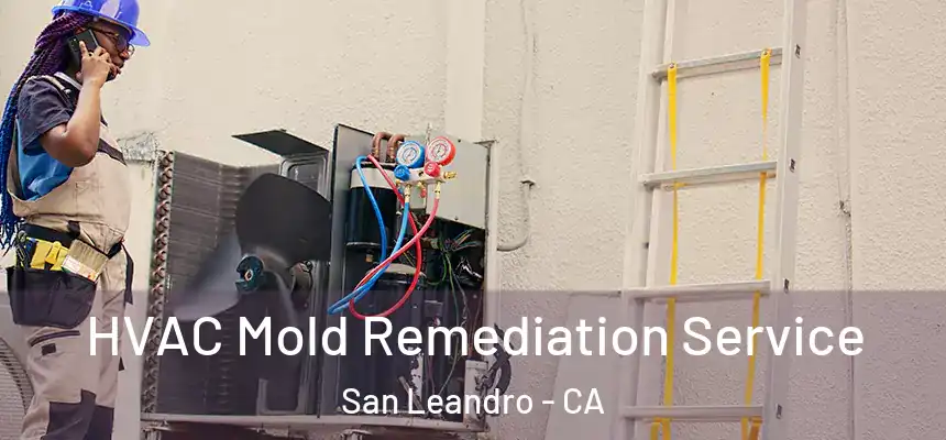  HVAC Mold Remediation Service San Leandro - CA