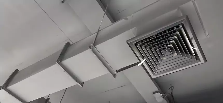 Our Rodent Droppings In Vents Services in San Leandro, CA