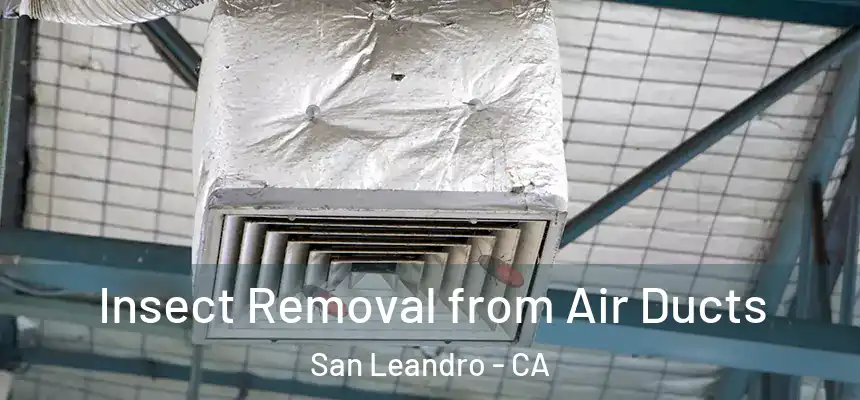  Insect Removal from Air Ducts San Leandro - CA