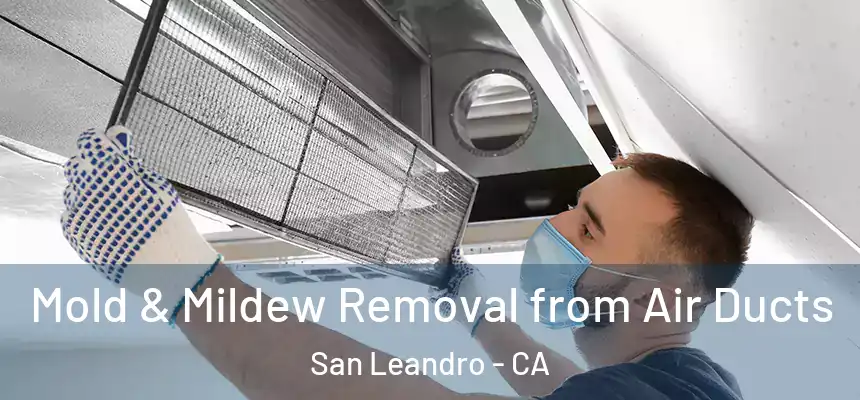 Mold & Mildew Removal from Air Ducts San Leandro - CA