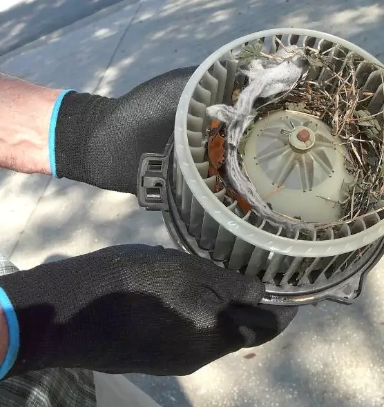 About Air Duct Mice Removal in San Leandro, CA