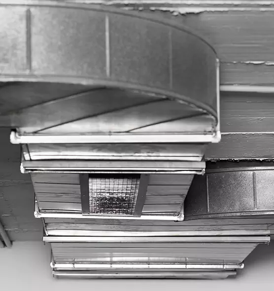 Professional Air Duct Pet Hair Removal in San Leandro, CA