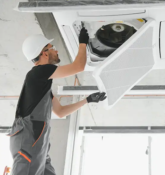 About Air Duct Rodent Removal in San Leandro, CA