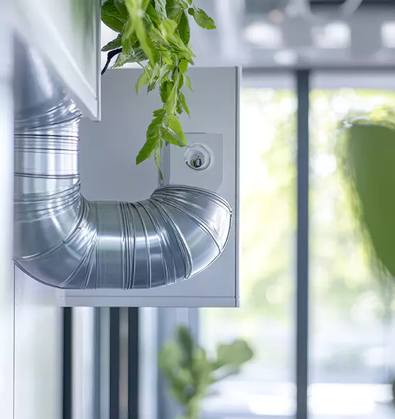 Professional Eco-Friendly Duct Cleaning Services in San Leandro, CA