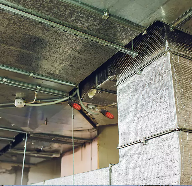 Why Homeowners & Businesses Trust Us in San Leandro, CA?