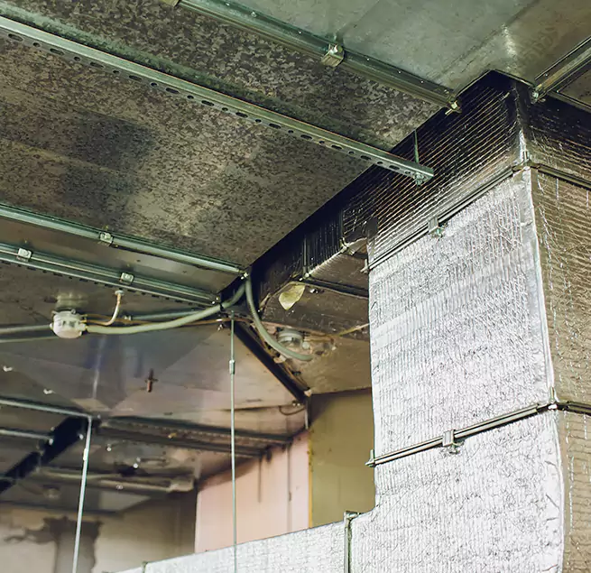 Why Homeowners & Businesses Trust Us in San Leandro, CA?